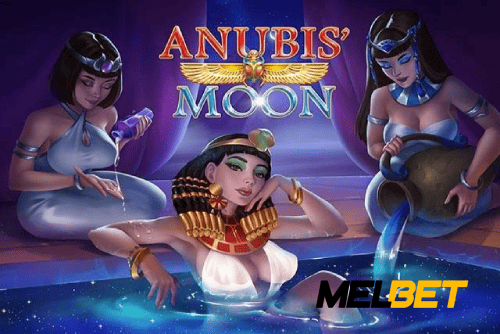 Multi-Sport Coverage